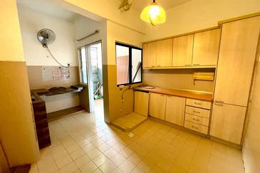 Evergreen Park Acorn and Hazel