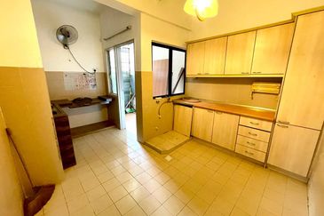 Evergreen Park Acorn and Hazel