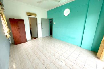 Evergreen Park Acorn and Hazel