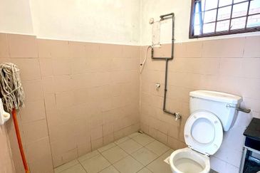 Evergreen Park Acorn and Hazel