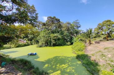 Bentong, Bentong, Pahang Agriculture Land For Sale