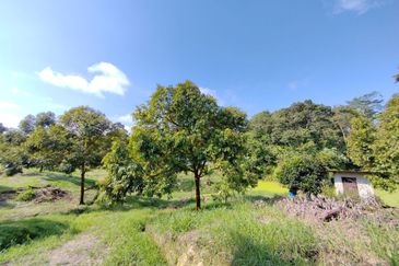 Bentong, Bentong, Pahang Agriculture Land For Sale