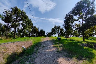 Bentong, Bentong, Pahang Agriculture Land For Sale