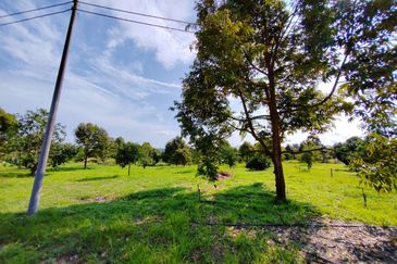 Bentong, Bentong, Pahang Agriculture Land For Sale