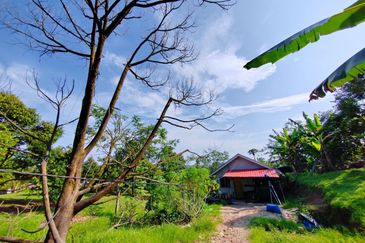 Bentong, Bentong, Pahang Agriculture Land For Sale