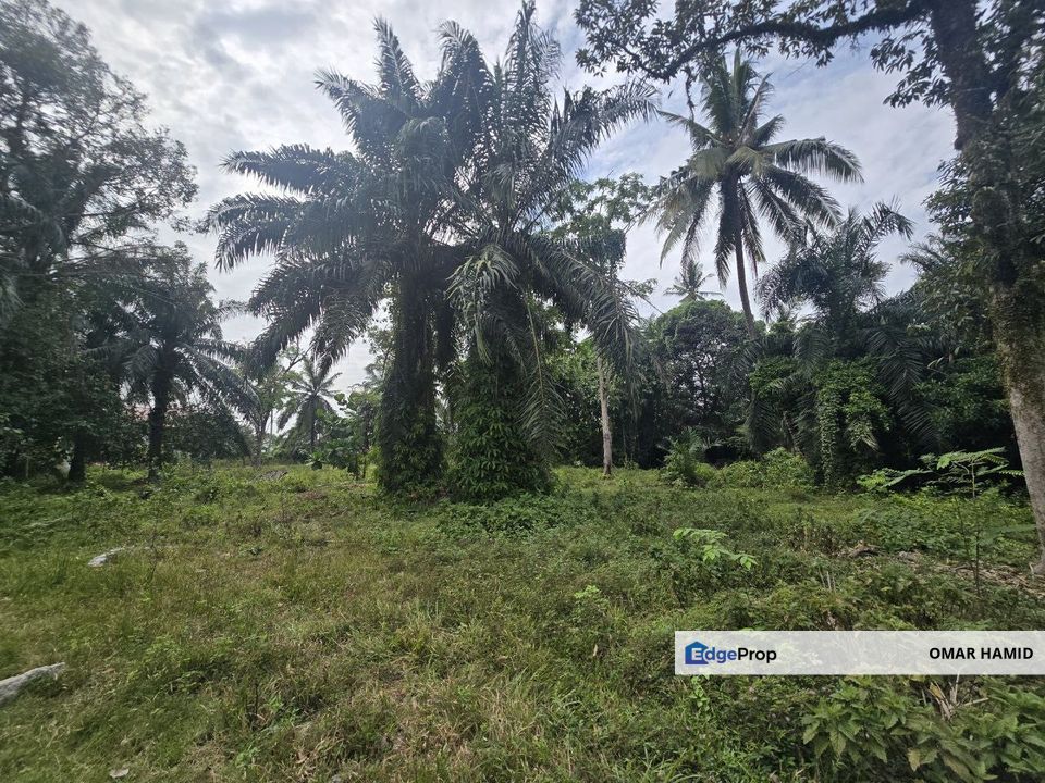 Sungai Rambai, Jenjarom, Selangor Agricultural Land For Sale, Selangor, Jenjarom