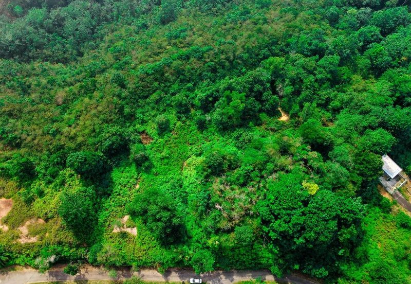 Taman Puncak Mekar, Putrajaya Agriculture Land For Sale