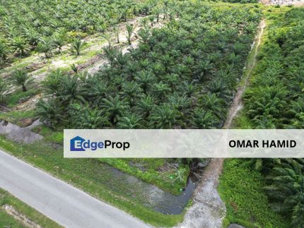 Tanjung Dua Belas, Kuala Langat, Selangor Agriculture Land For Sale, Selangor, Kuala Langat