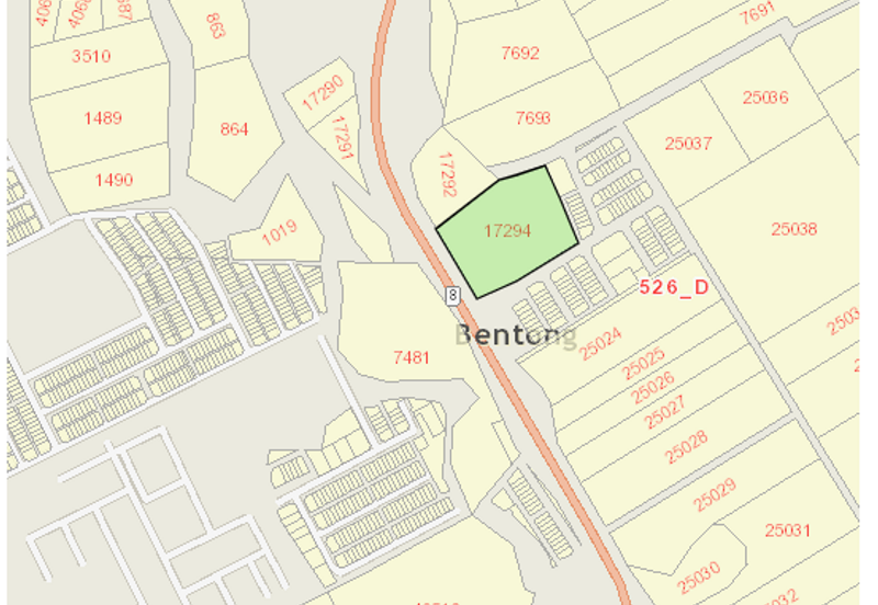 Musang King Durian Land for Sale