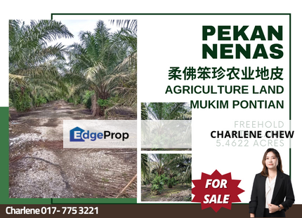 Pekan Nenas Mukim Pontian Agricultural Land (For Sale), Johor, Pontian