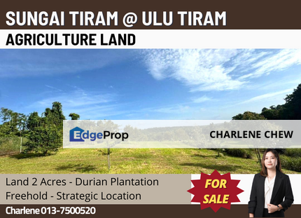 Sungai Tiram Ulu Tiram Agriculture Land (Sale), Johor, Ulu Tiram