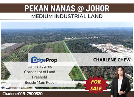 Pekan Nanas Converted Medium Industrial Land (Sale 38/sqft), Johor, Pekan Nanas (Pekan Nenas)