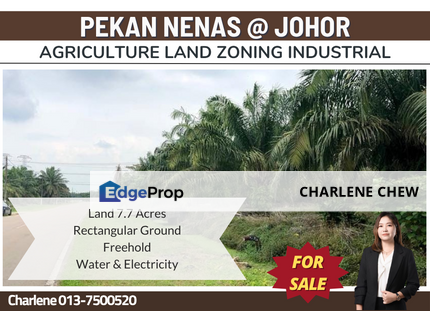 Pekan Nanas Agriculture Zoning Industrial Land (Sale 13/sqft), Johor, Pontian