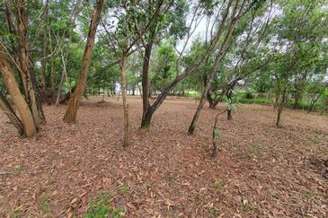 Putra Crest @ Putra Heights