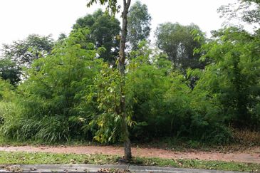 Seksyen 11, Kota Damansara