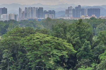 Menara Bintang Goldhill