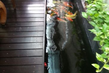 Jalan Bukit Setiawangsa 