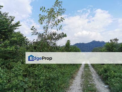 Agriculture Land For Sale @ Pandamaran, Klang, Selangor, Selangor, Klang
