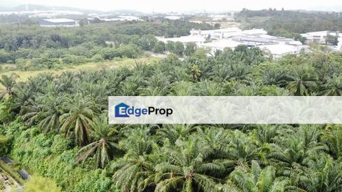 Industrial Land For Sale @ Sungai Lalang, Semenyih, Selangor, Selangor, Semenyih