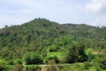 Jalan Broga