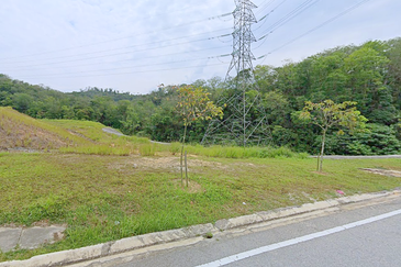 Agricultural Land for Sale Rawang