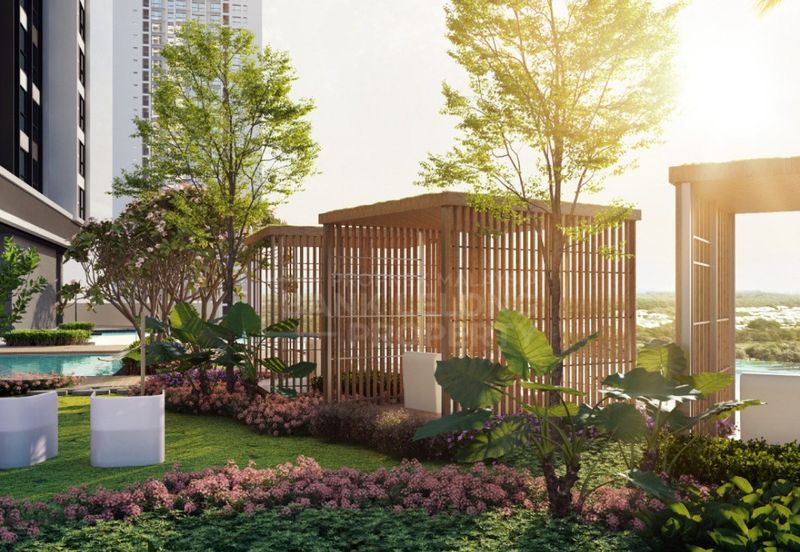 Dianthus @ Tropicana Gardens