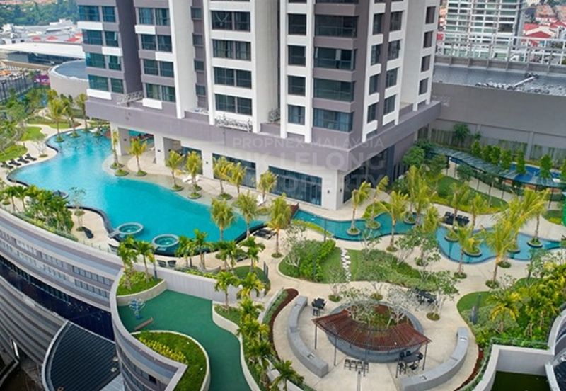 Dianthus @ Tropicana Gardens