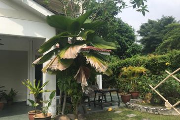 Jalan Anggerik Aranda 31/7