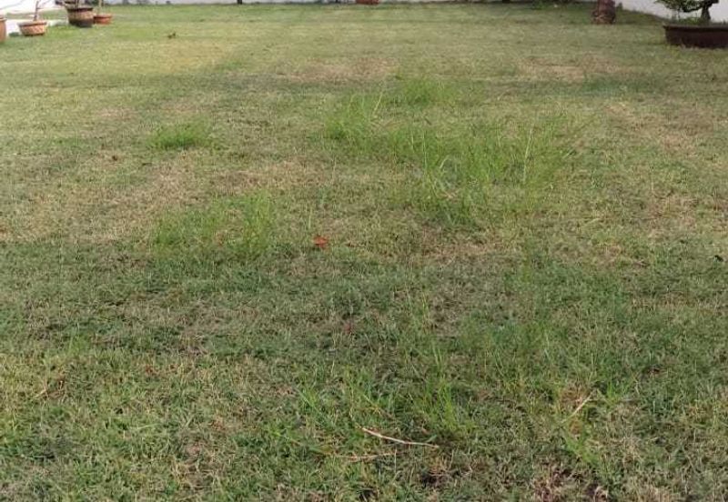 Jalan Kemuning Damai 32/147