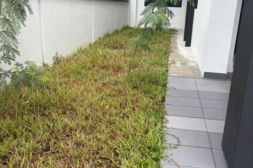 Freesia Residences @ Tropicana Aman