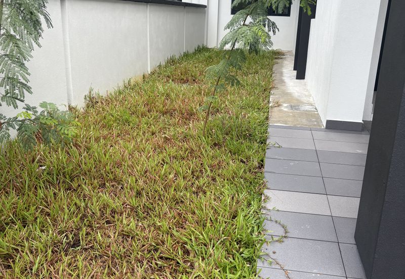 Freesia Residences @ Tropicana Aman