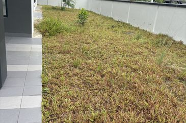 Freesia Residences @ Tropicana Aman