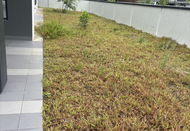 Freesia Residences @ Tropicana Aman