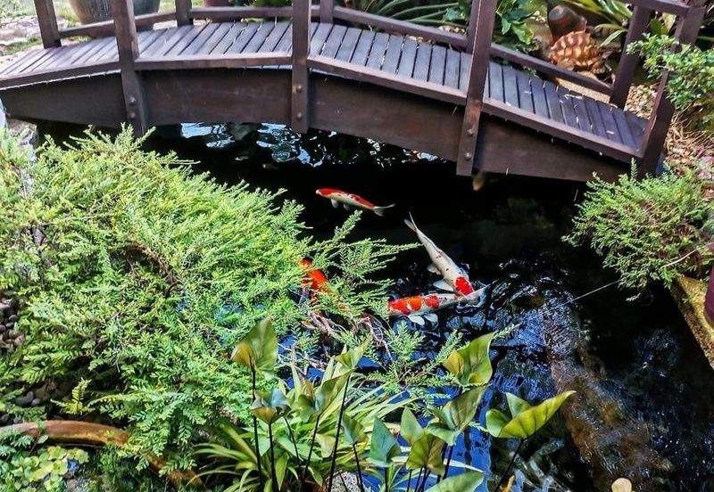 Bandar Bukit Puchong, BP 2