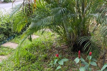 Bandar Bukit Puchong, BP 2