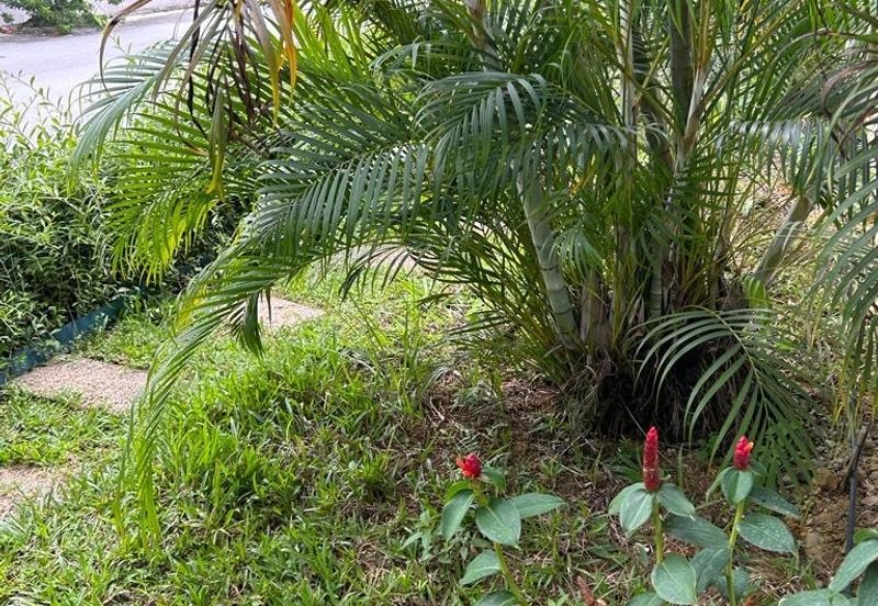 Bandar Bukit Puchong, BP 2