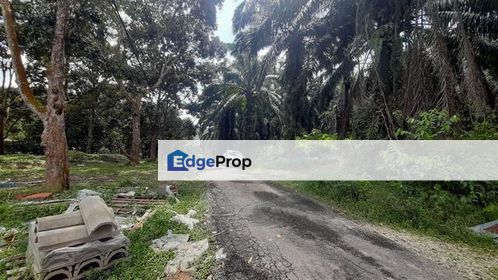 Tanah Pertanian Untuk Dijual Di Kundur Hilir,Rembau, Negeri Sembilan, Rembau