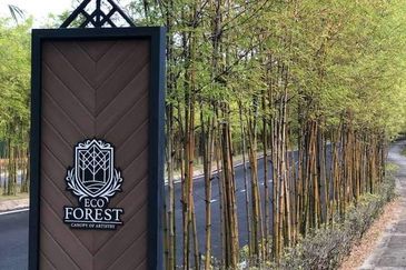 Ebonylane @ Eco Forest