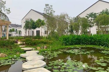 Monet Lily @ Sunsuria City