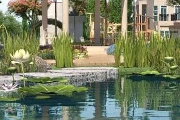 Monet Lily @ Sunsuria City