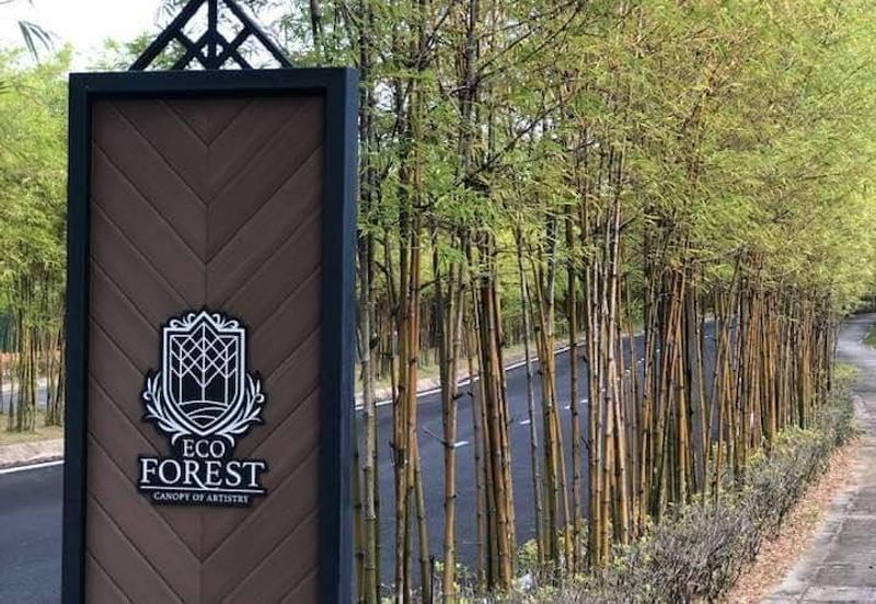 Eco Forest
