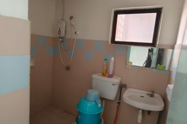 Evergreen Park Acorn and Hazel