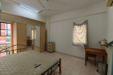 Evergreen Park Acorn and Hazel