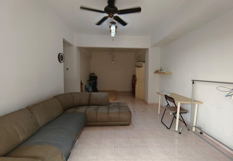 Evergreen Park Acorn and Hazel