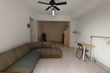 Evergreen Park Acorn and Hazel