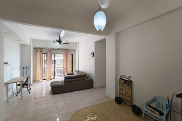 Evergreen Park Acorn and Hazel