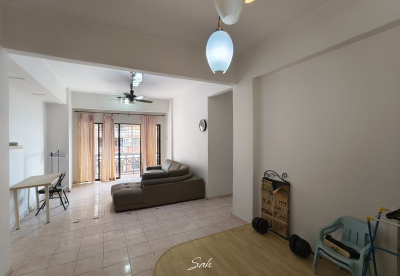 Evergreen Park Acorn and Hazel