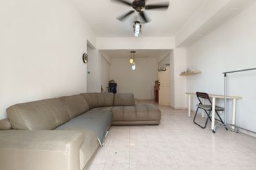 Evergreen Park Acorn and Hazel