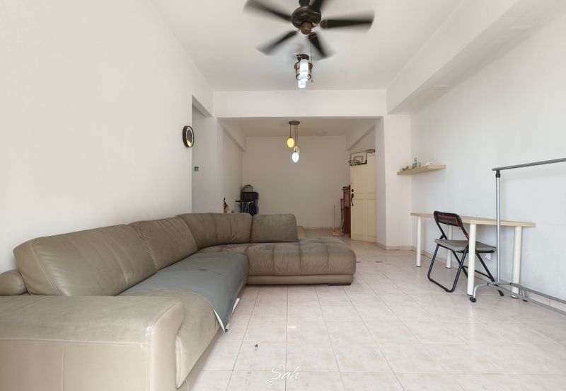 Evergreen Park Acorn and Hazel