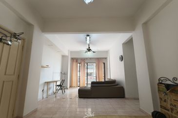 Evergreen Park Acorn and Hazel